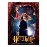 Juego de regalo de rompecabezas de Harry Potter: carteles de películas