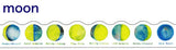 Moon Washi Tape Round Top Masking