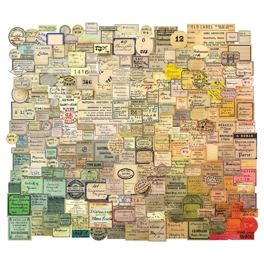 Curator Idea-Ology Ephemera Snippets 233/Pkg Tim Holtz