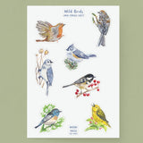 Hojas de pegatinas de vinilo de aves silvestres