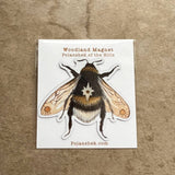 Imán de abeja